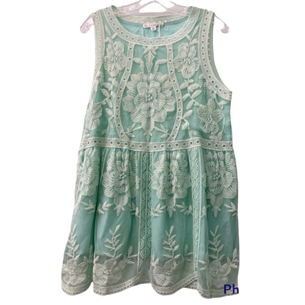 FSL + Apparel Tulle Embroidered Mini Dress